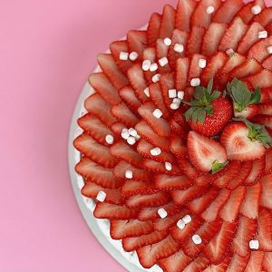 PAVLOVA
